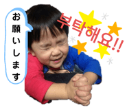 310558295