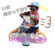 310558297