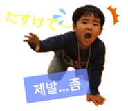 310558549