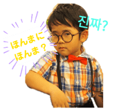 310558560