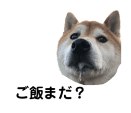 310558905