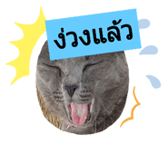310560700