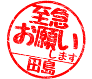 310562024
