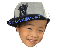 310566155