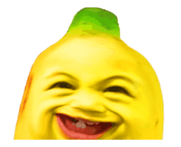 310566295