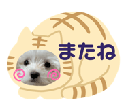 310568886