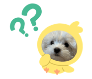 310568889