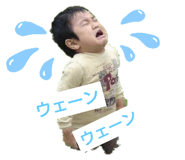 310571925