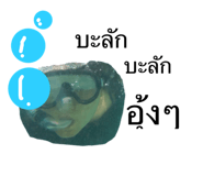 310575780