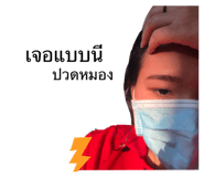 310575781