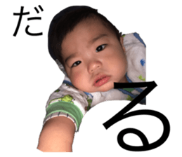 310590384