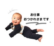 310593576