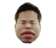 310594716