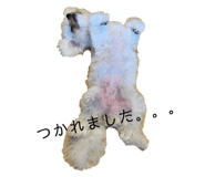 310601191