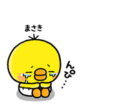310602211