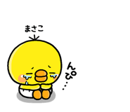 310602587