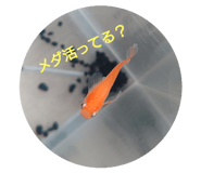 310602678