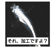 310602681