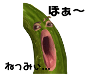 310602732