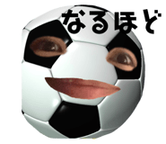 310602733