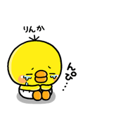 310604403