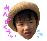 310604528