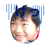 310604530