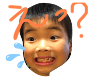 310604531