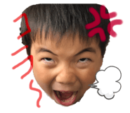 310604533
