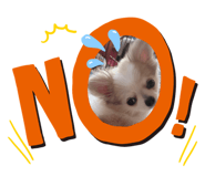 310604904