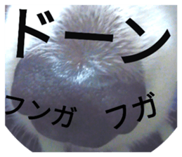 31060622