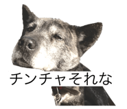 310607349