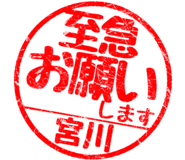 310609560