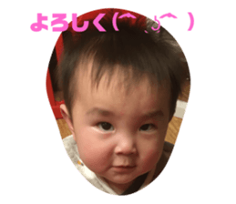 310610912