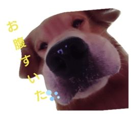 310624136