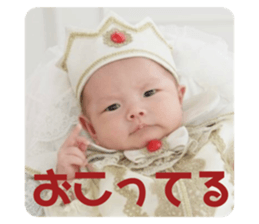 310632939