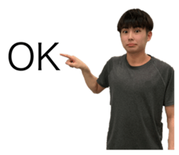 310636535