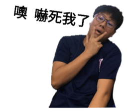 310636801
