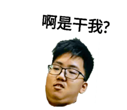310636805