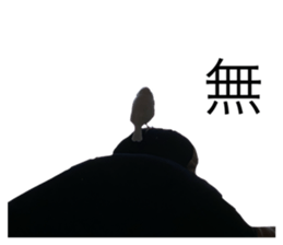 310648300