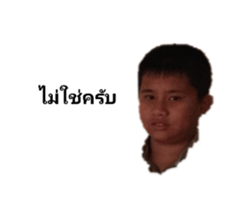 310651836