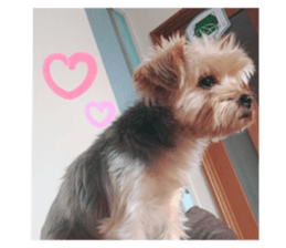310772936