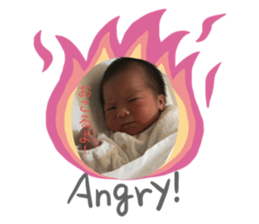 310881837