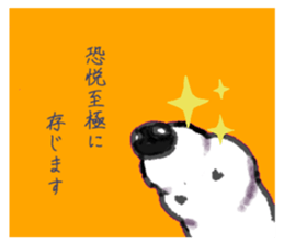 310882456