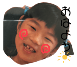 310904555