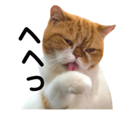 310910697