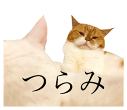 310910698