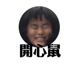 310963355