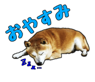 310982209