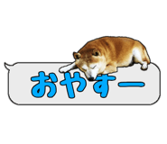 310982217